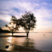 安卓ddos攻击工具