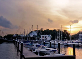 安卓ddos攻击工具