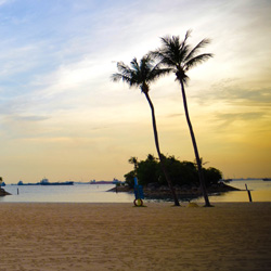 【免安装】便捷的安卓ddos攻击工具