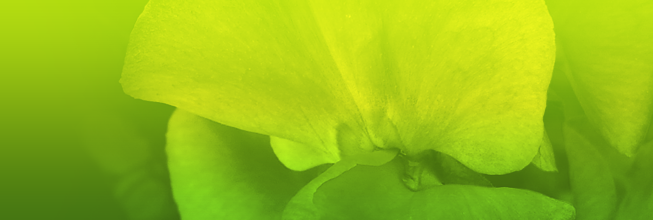 安卓ddos攻击工具